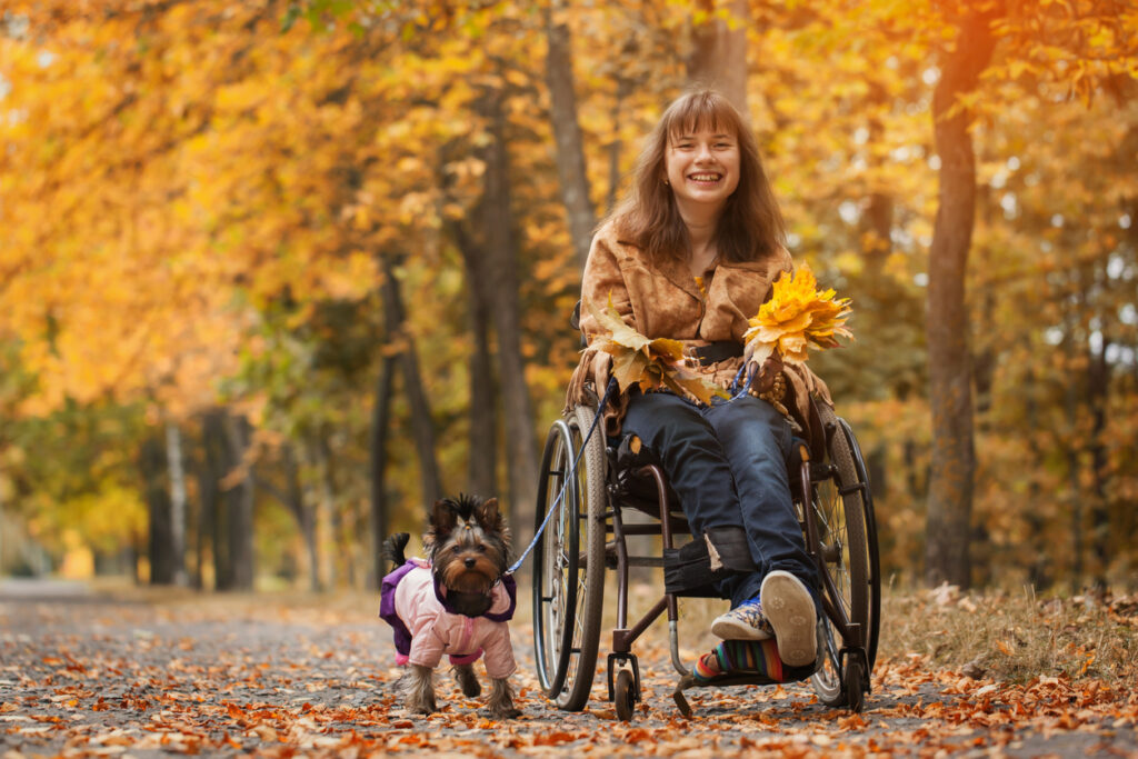 the smiling cheerful girl on a wheelchair with the dog in autumn road
